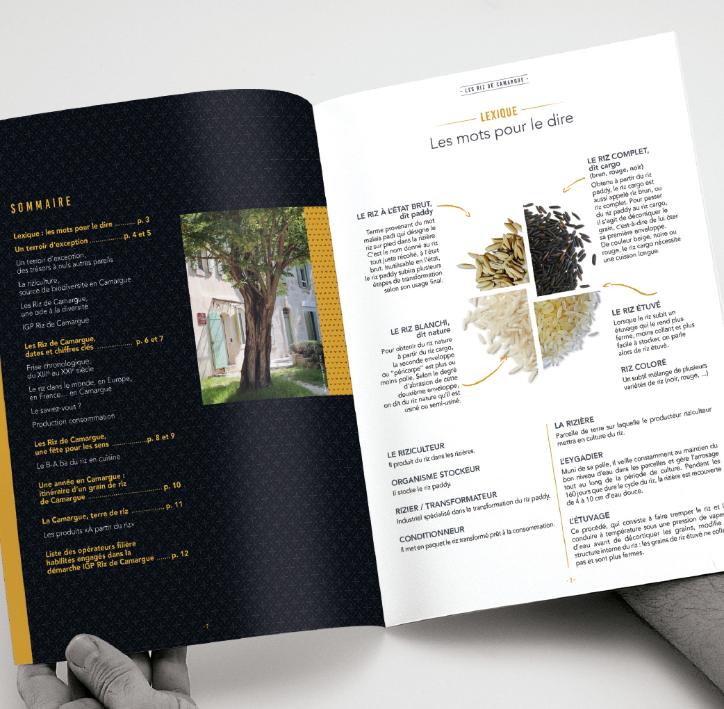 Mise en page du dossier de presse "Les riz de Camargue"
