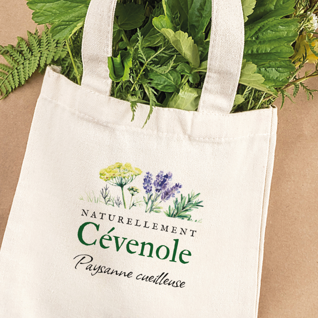 logotype pour des étiquettes de tisanes bio